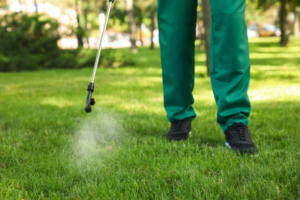 Best Local Pest Control Services  in Eugene, OR