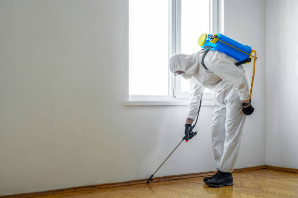 Best Pest Control for Homes  in Eugene, OR