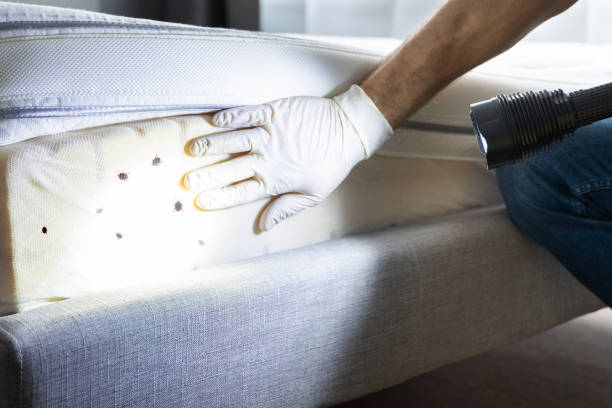 Best Affordable Exterminators  in Eugene, OR