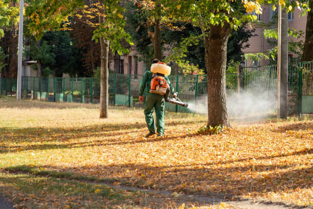 Best Rodent Control Near Me  in Eugene, OR
