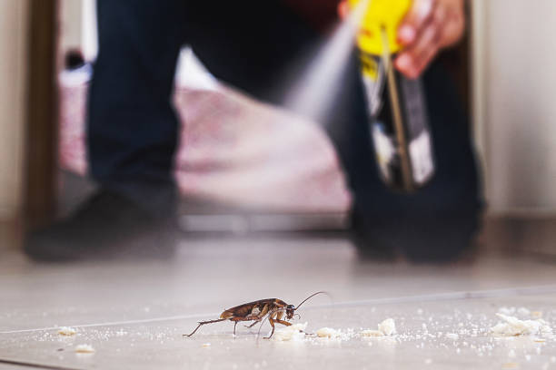 Best Flea Control Services  in Eugene, OR