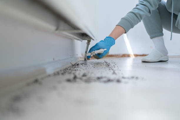 Best Bed Bug Extermination  in Eugene, OR